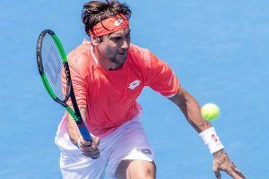 David Ferrer