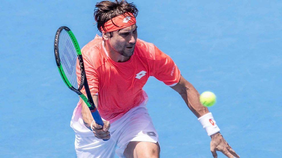 David Ferrer