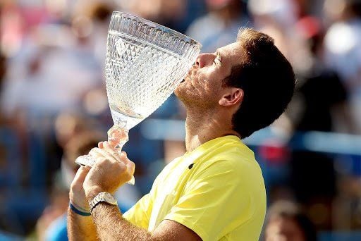 Del Potro títulos Washington