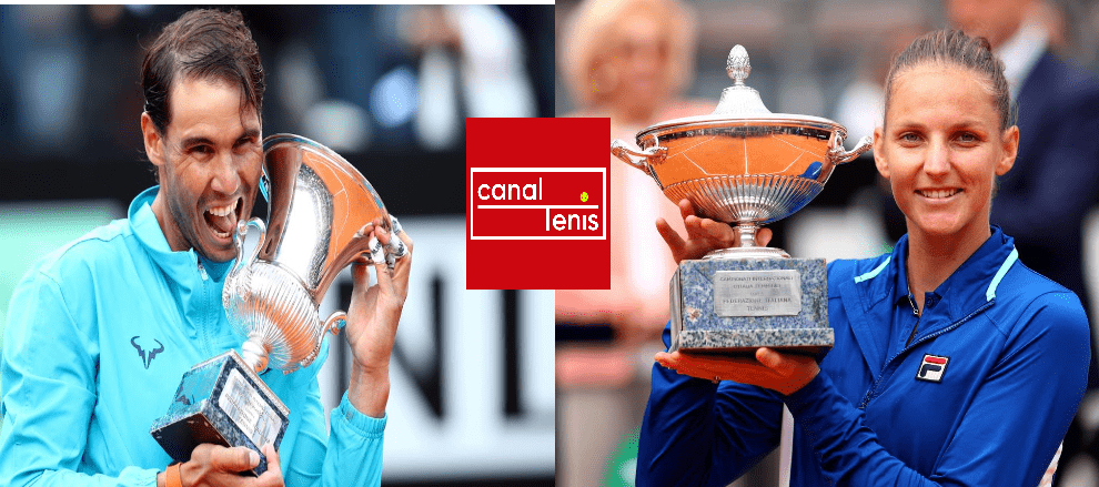 analisis cuadro roma 2020