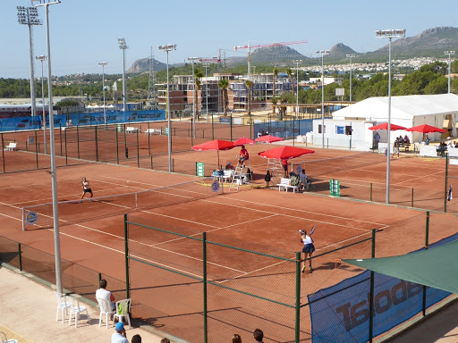 David Ferrer tendrá su propio torneo - Canal Tenis