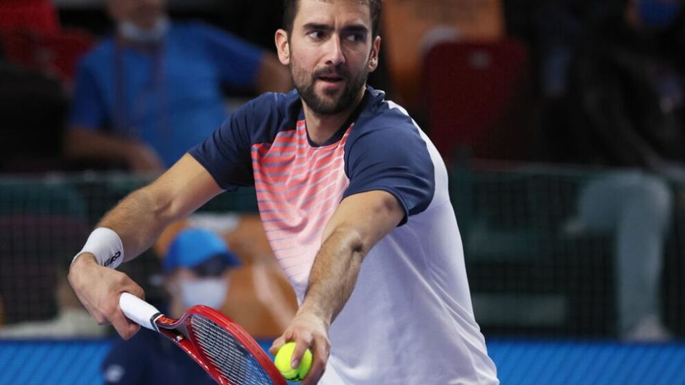 Cilic Davidovich París Bercy