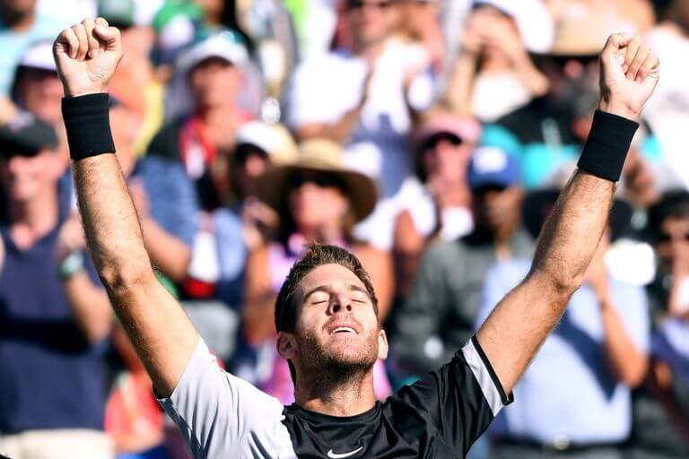 Del Potro títulos ATP
