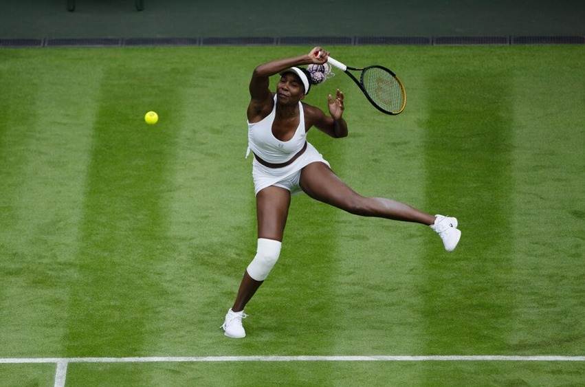 Venus Williams curiosidades