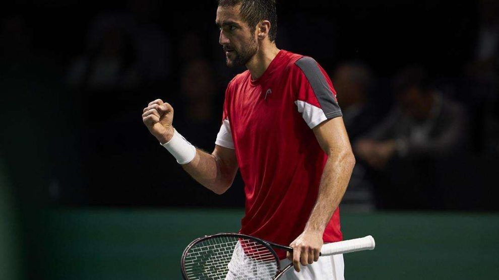 cilic carreño copa davis