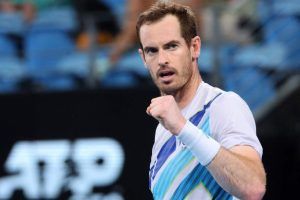 murray wild card dubái