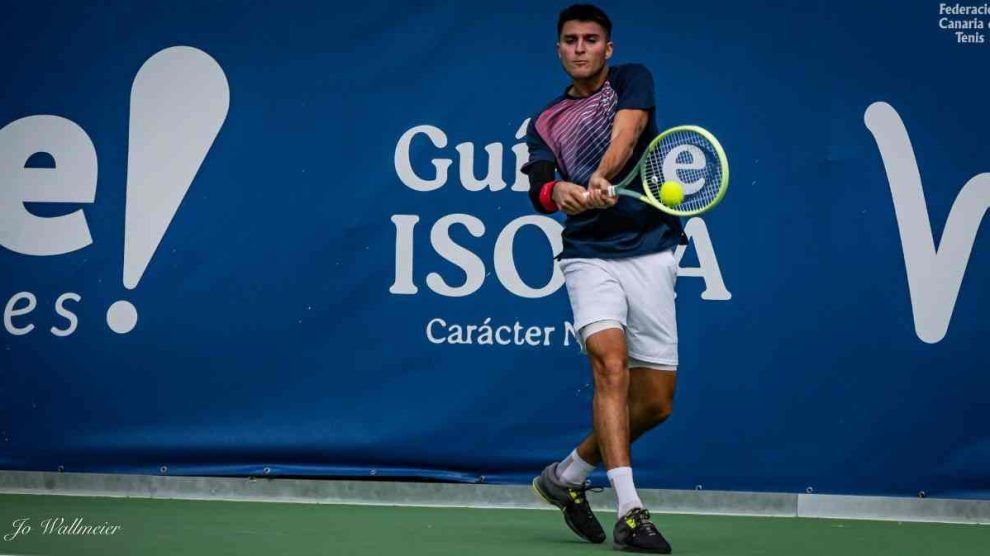 llamas campeón palmanova