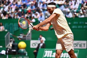 fritz juego en tierra