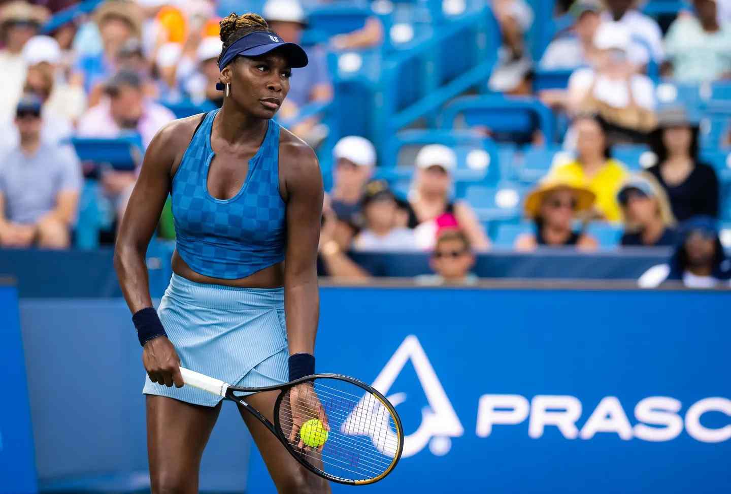 venus giorgi wta birmingham