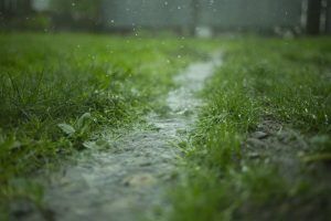 lluvia interrumpe jornada wimbledon 2023
