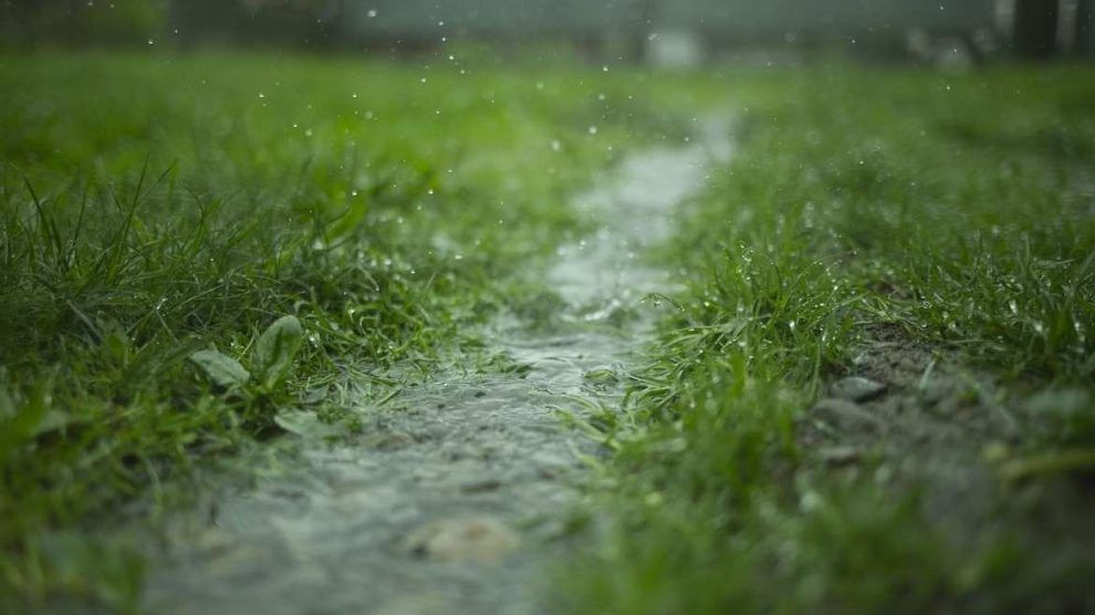 lluvia interrumpe jornada wimbledon 2023