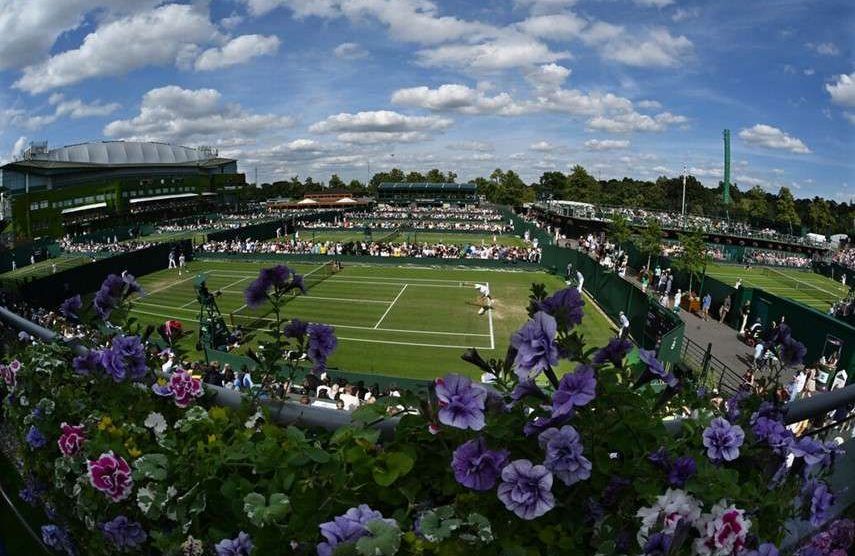 wimbledon visto bueno expansión