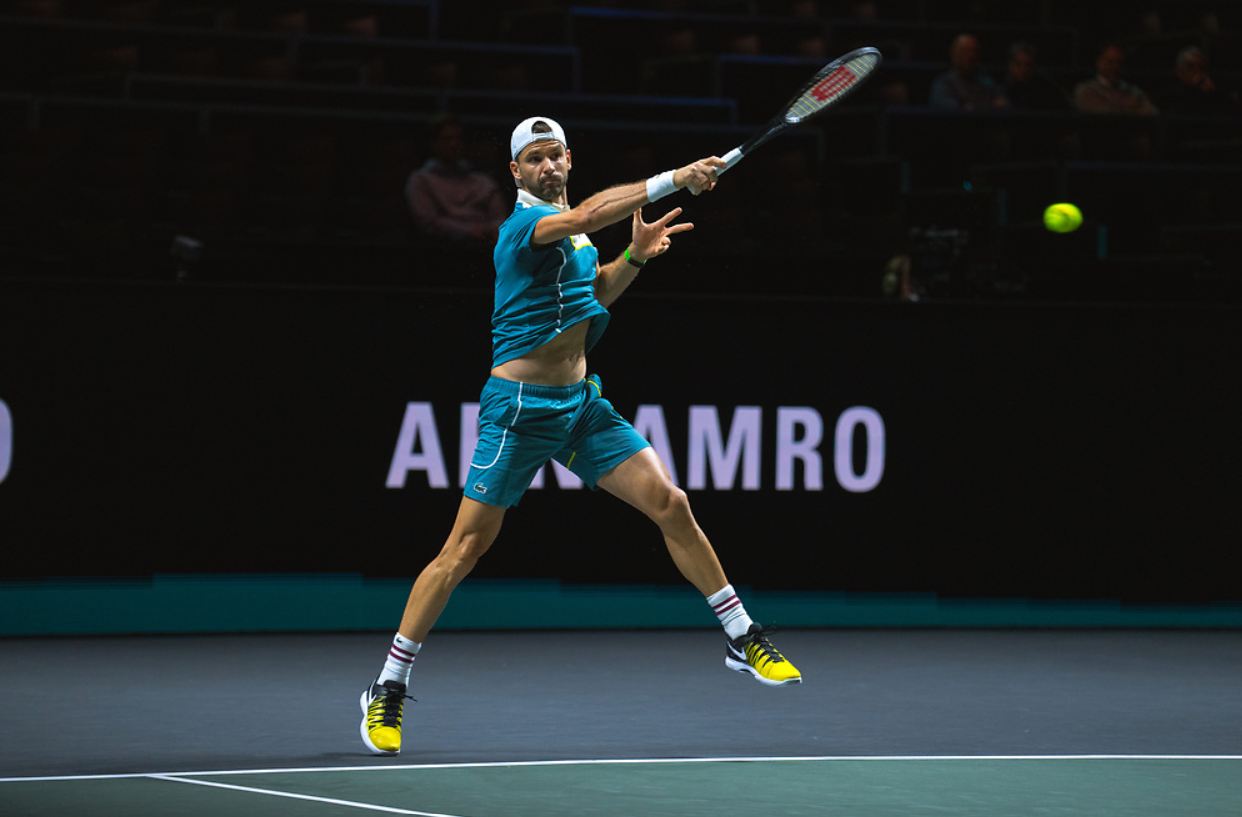 dimitrov shevchenko atp rotterdam