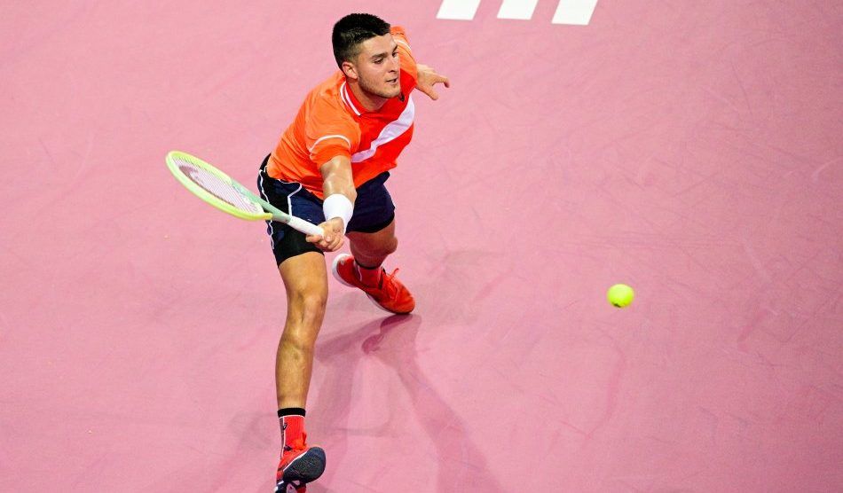 llamas den ouden atp rotterdam