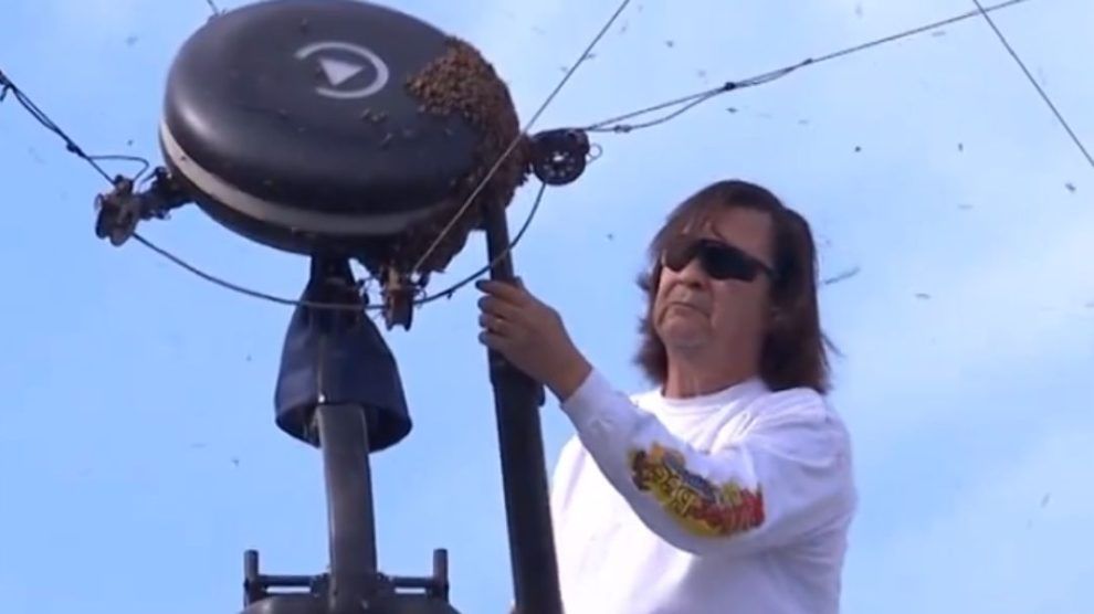 apicultor indian wells abejas