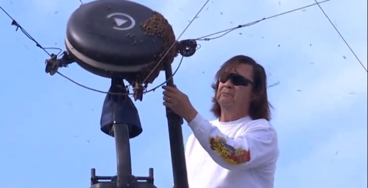 El apicultor de Indian Wells: "Había probablemente unas 3.500 abejas" 1 apicultor indian wells abejas