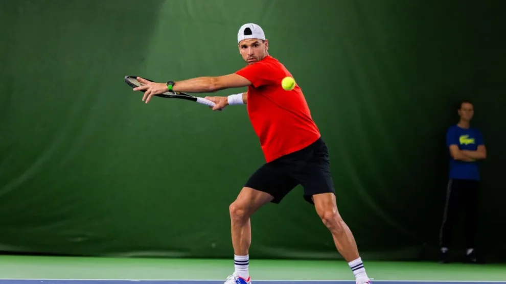 dimitrov halys atp estocolmo