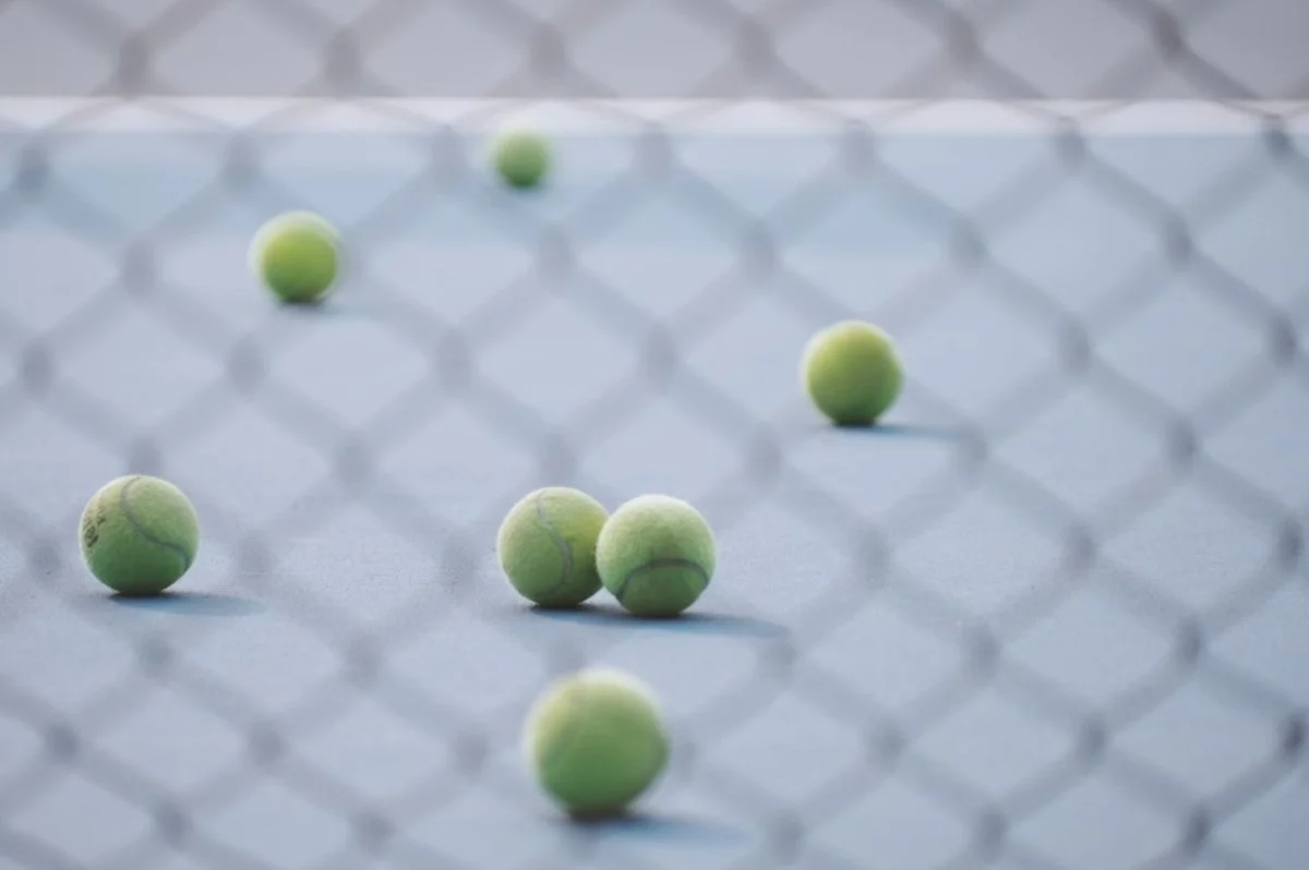 favoritos título next gen atp finals 2024