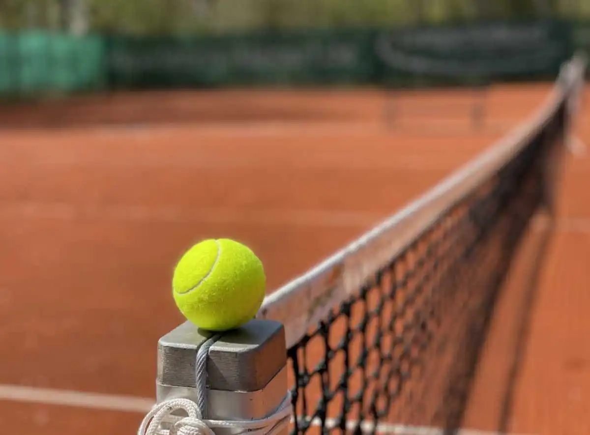 mutua madrid open 2025: los favoritos al titulo tras la baja de carlos alcaraz
