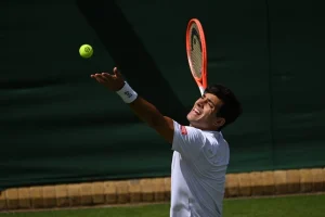 garin rodesch wimbledon 2025