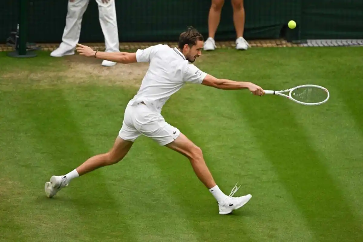 medvedev mannarino atp hertogenbosch 2025