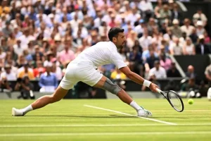 djokovic de miñaur wimbledon 2025