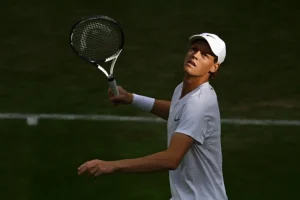 sinner dimitrov wimbledon 2025