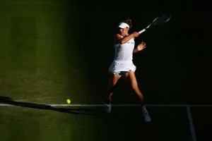 wimbledon 2025: balance del tenis sudamericano