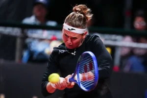 Bouzkova toca el cielo en Nottingham tras una guerra tenística inolvidable