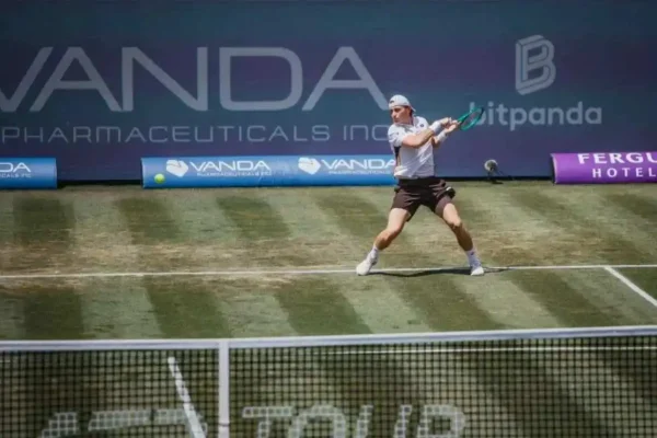 Buse vuela sobre el césped de Wimbledon y mete miedo
